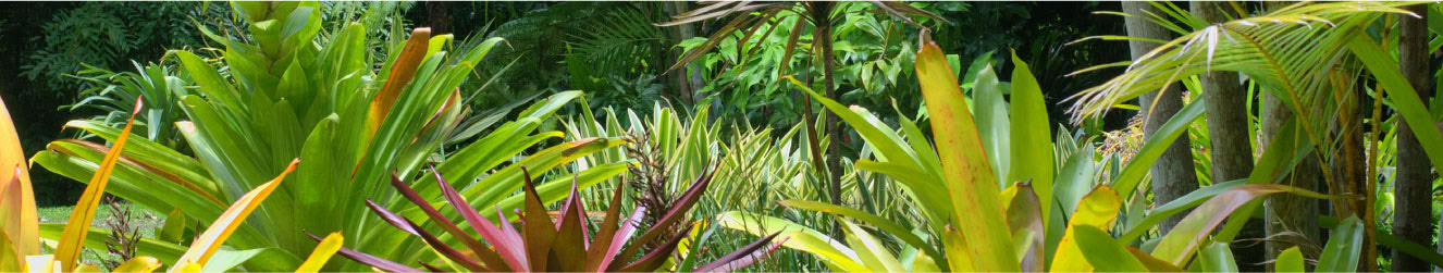 Retiro en México