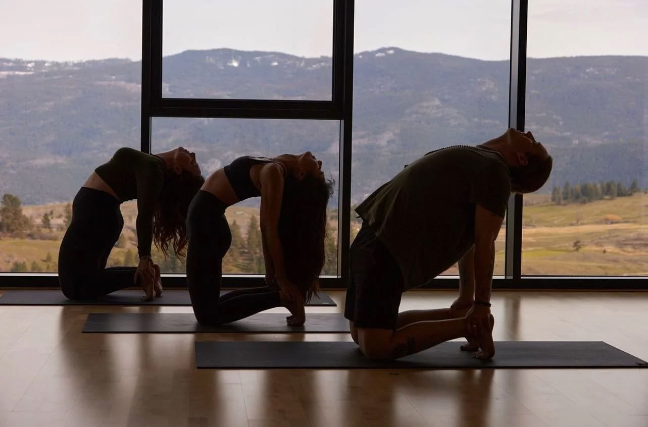 Flujo junto al muelle: ¡yoga y meditación en el lago Okanagan!