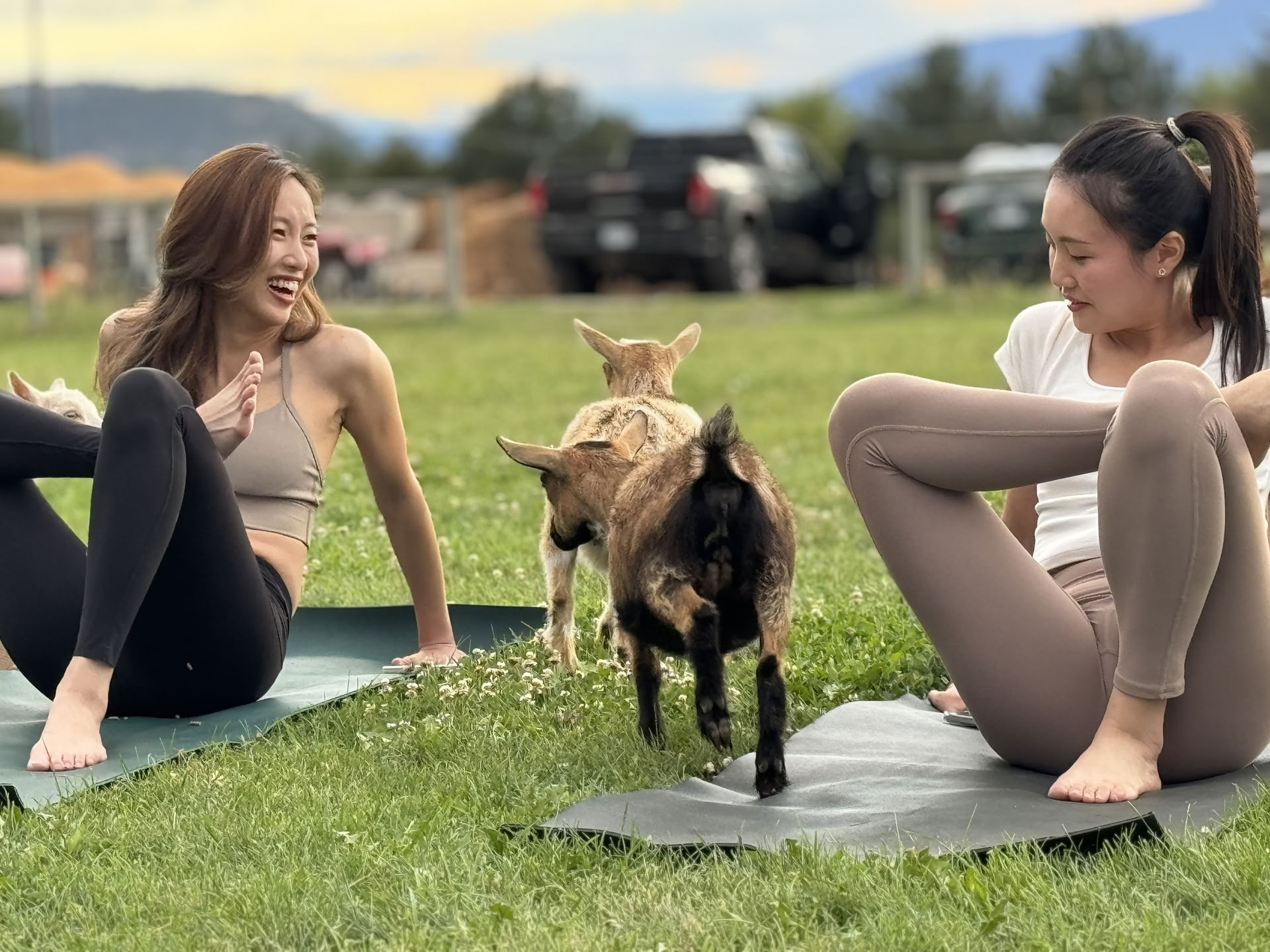 Flujo junto al muelle: ¡yoga y meditación en el lago Okanagan!