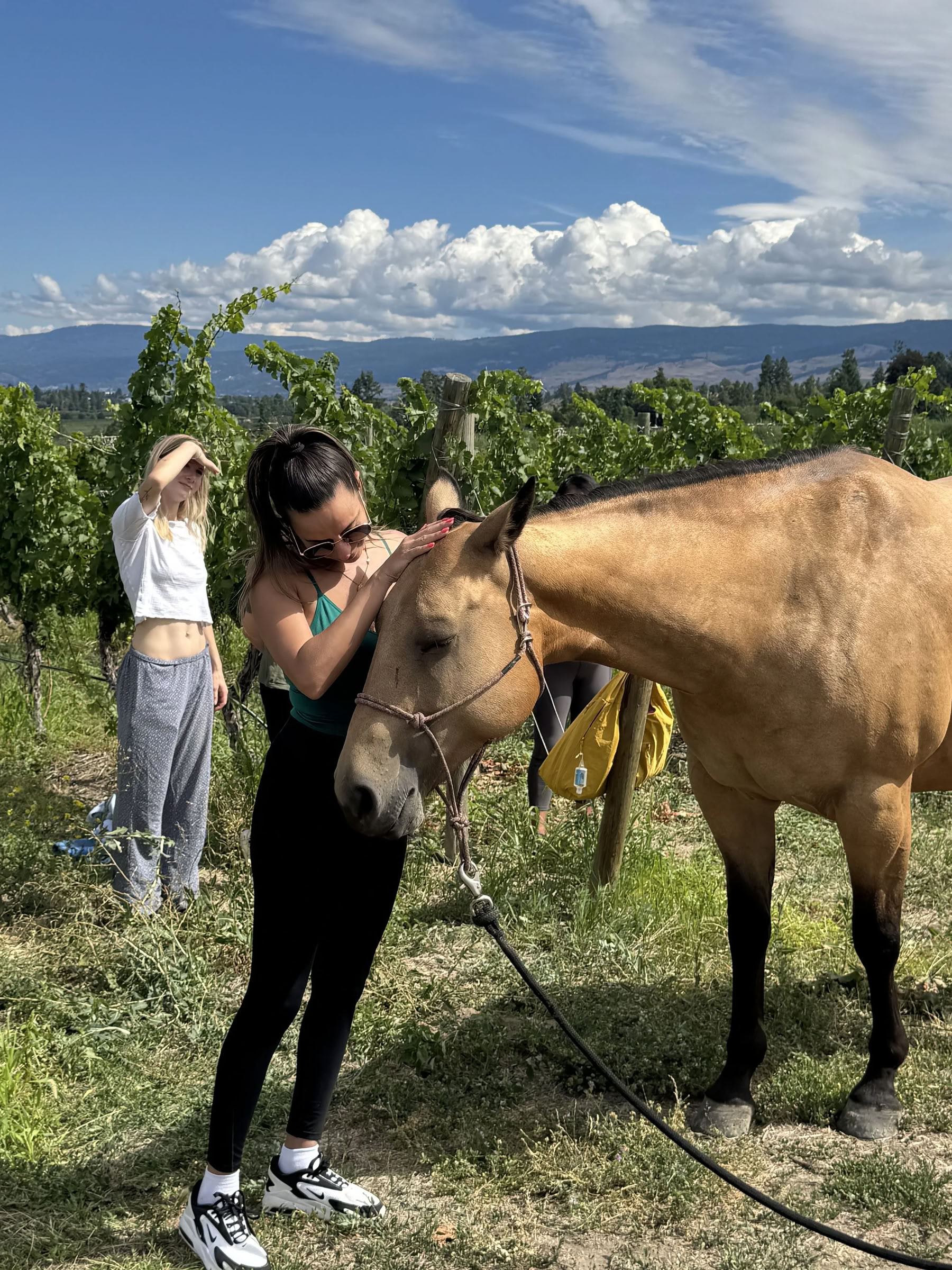 Divina Dolce Vita: Retiro de yoga de lujo en el corazón de la Toscana