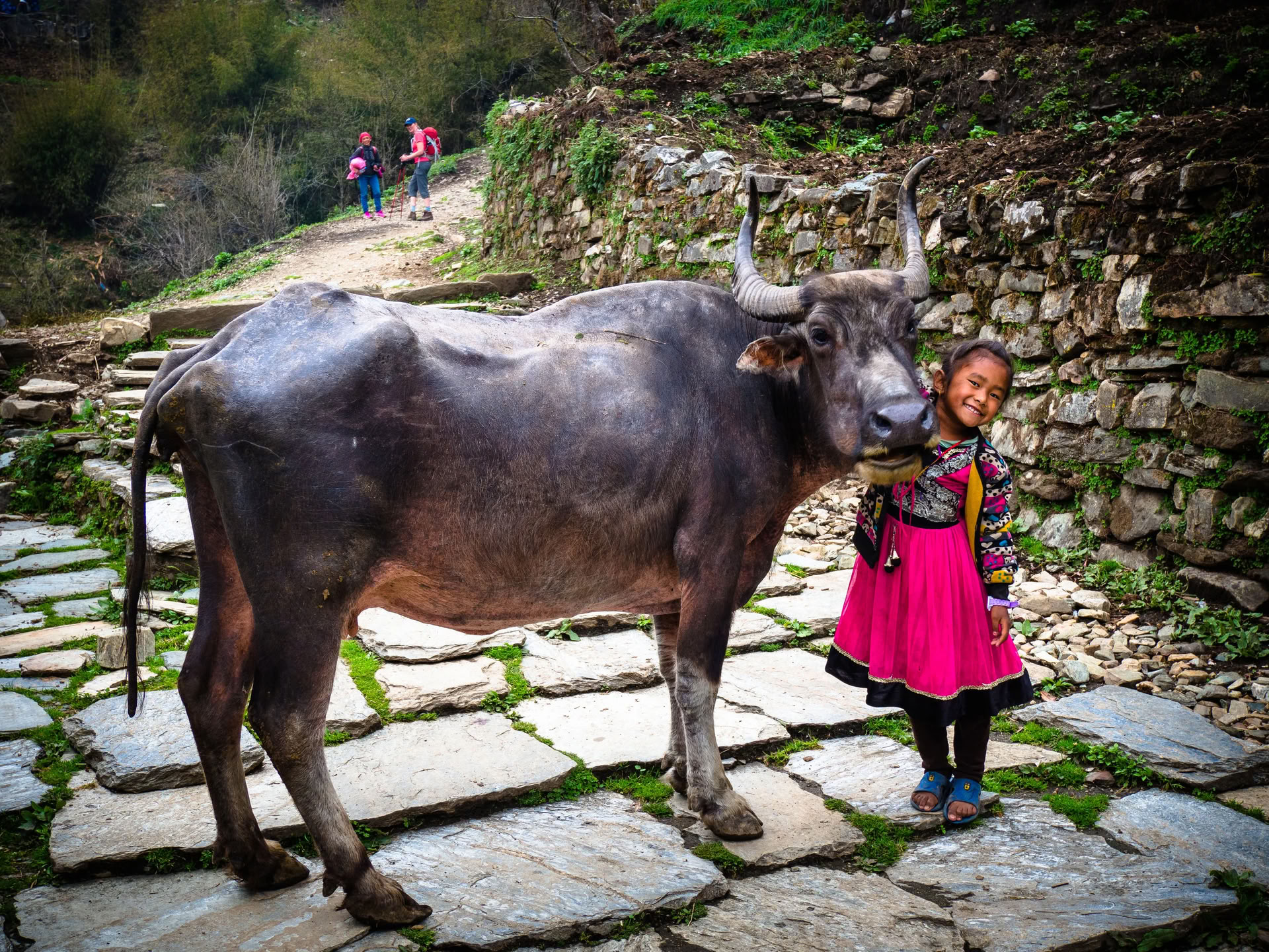 Campo Base del Annapurna