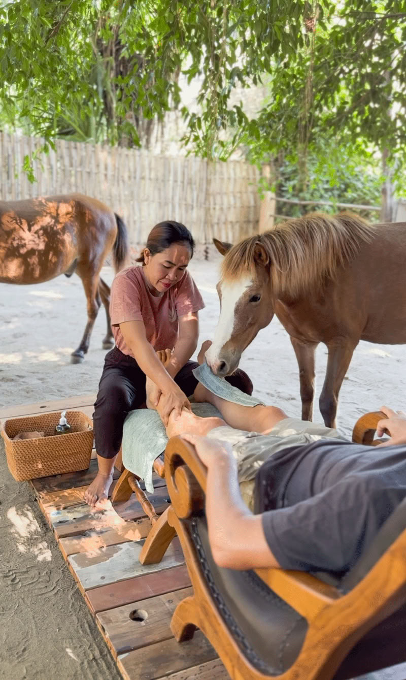 Paseo a caballo