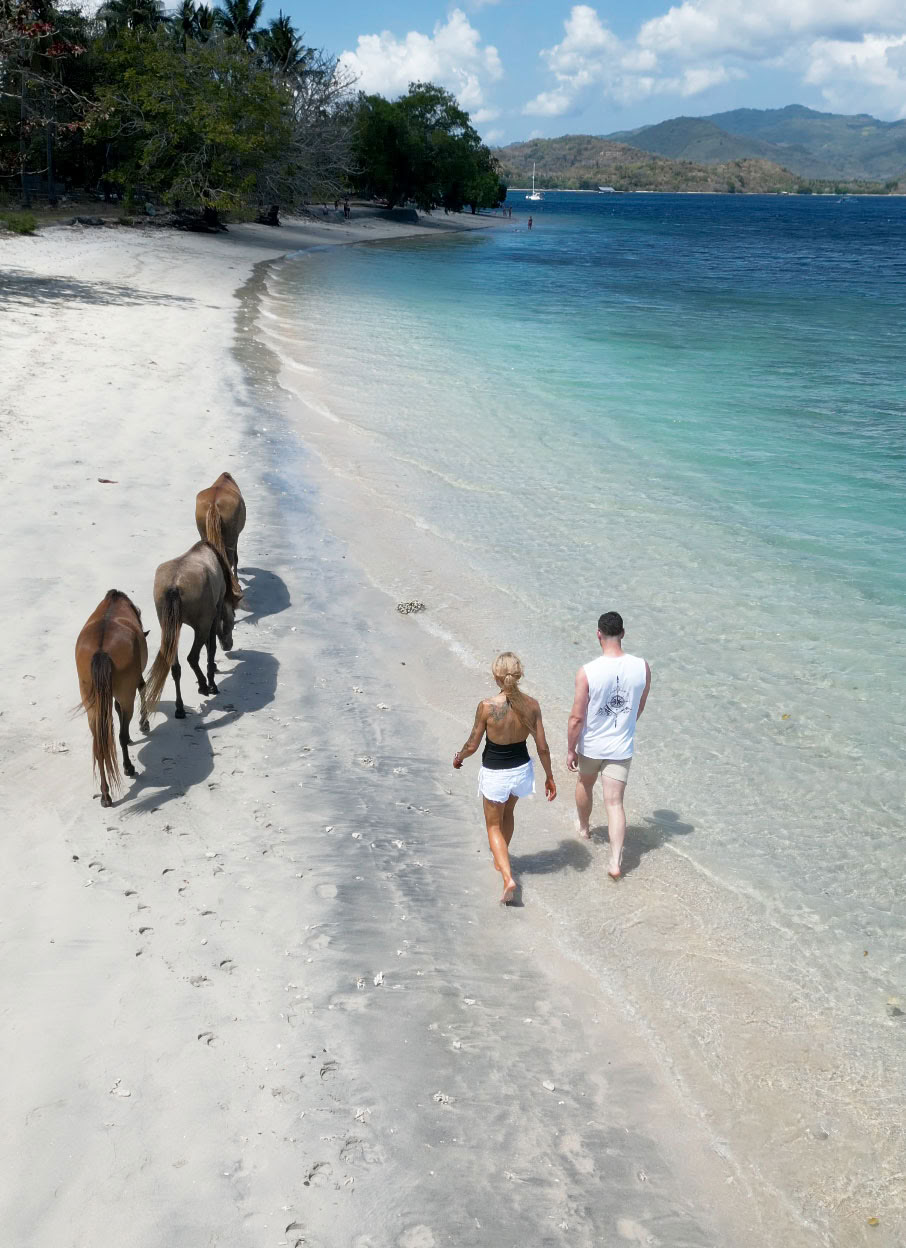 Paseo a caballo