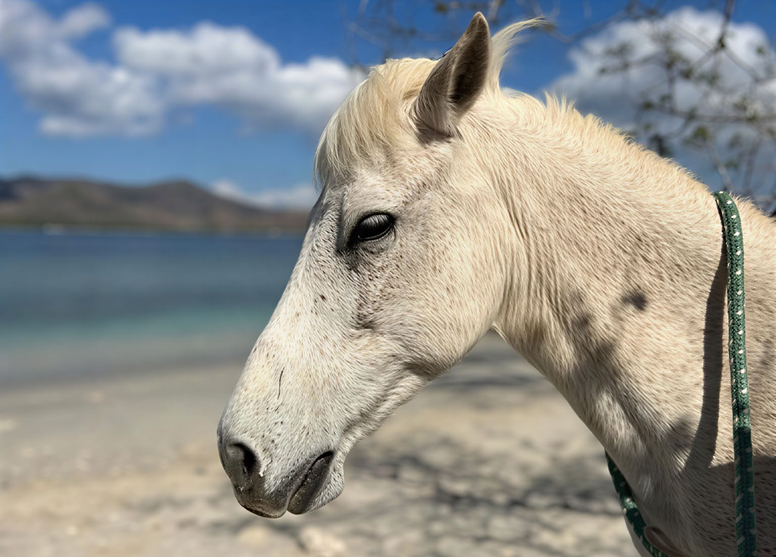 Paseo a caballo