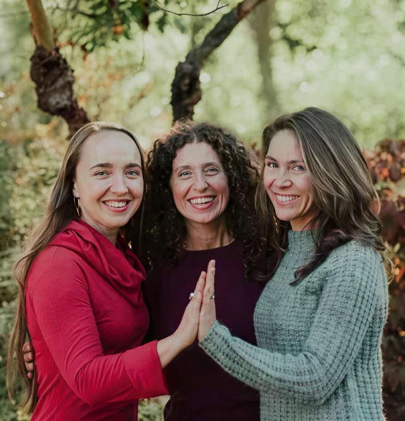 Reinicia tu vida e inspírate: Ayurveda para la renovación metabólica