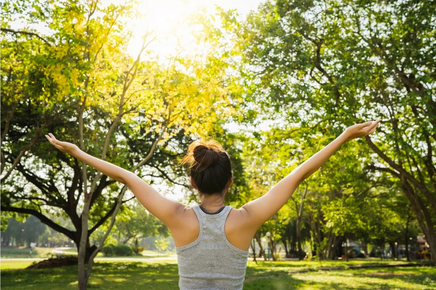 Reinicia tu vida e inspírate: Ayurveda para la renovación metabólica