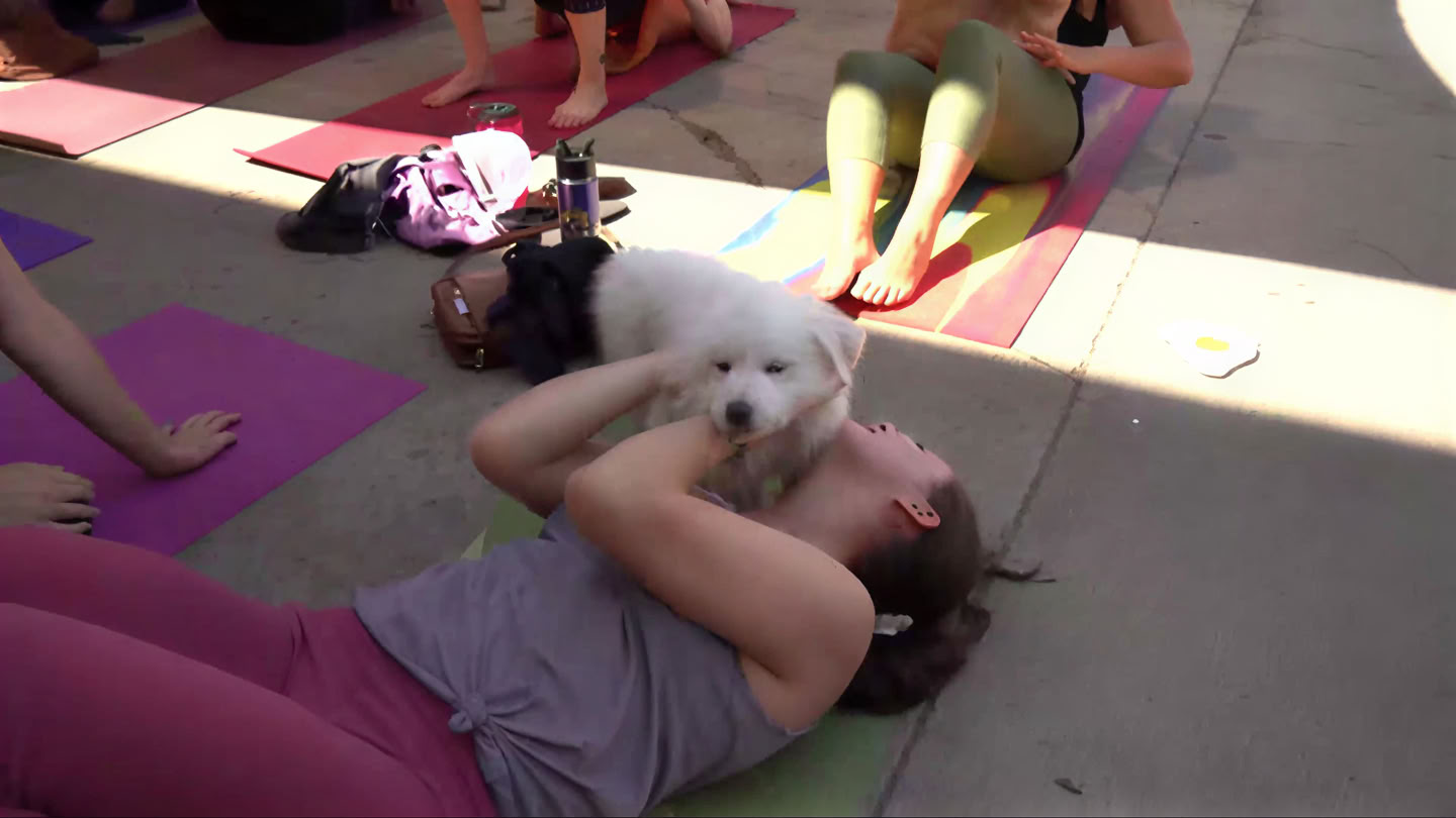 Yoga y Pilates en Bierstadt Lagerhaus | Denver