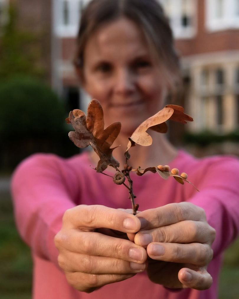 Retiro de yoga de otoño