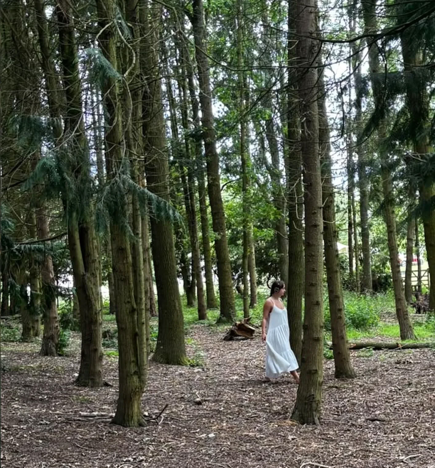 Retiro familiar de un día en la naturaleza en Willowbrook Farm | Fin de las vacaciones de verano — enwild retreat