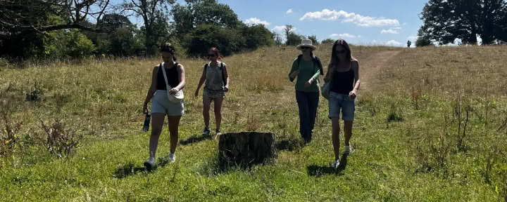 Festival de la Tierra Digna