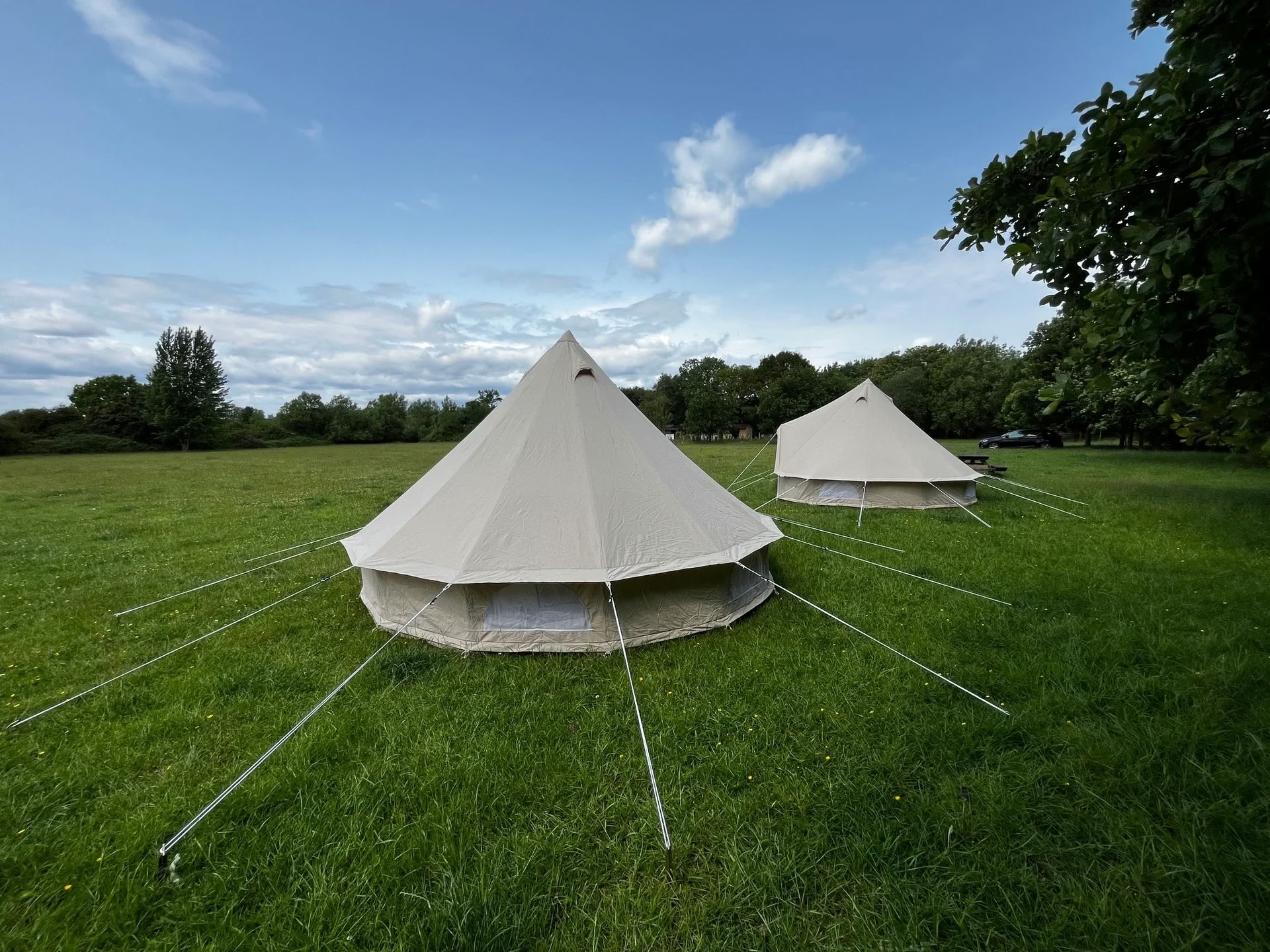 Festival Tierra Digna — retiro enwild