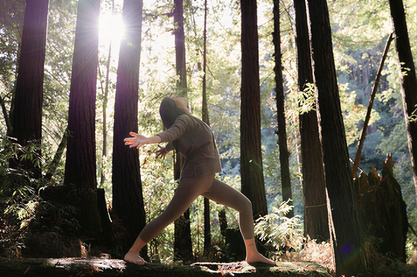 Dentro y fuera de la esterilla: yoga y la práctica de una vida consciente