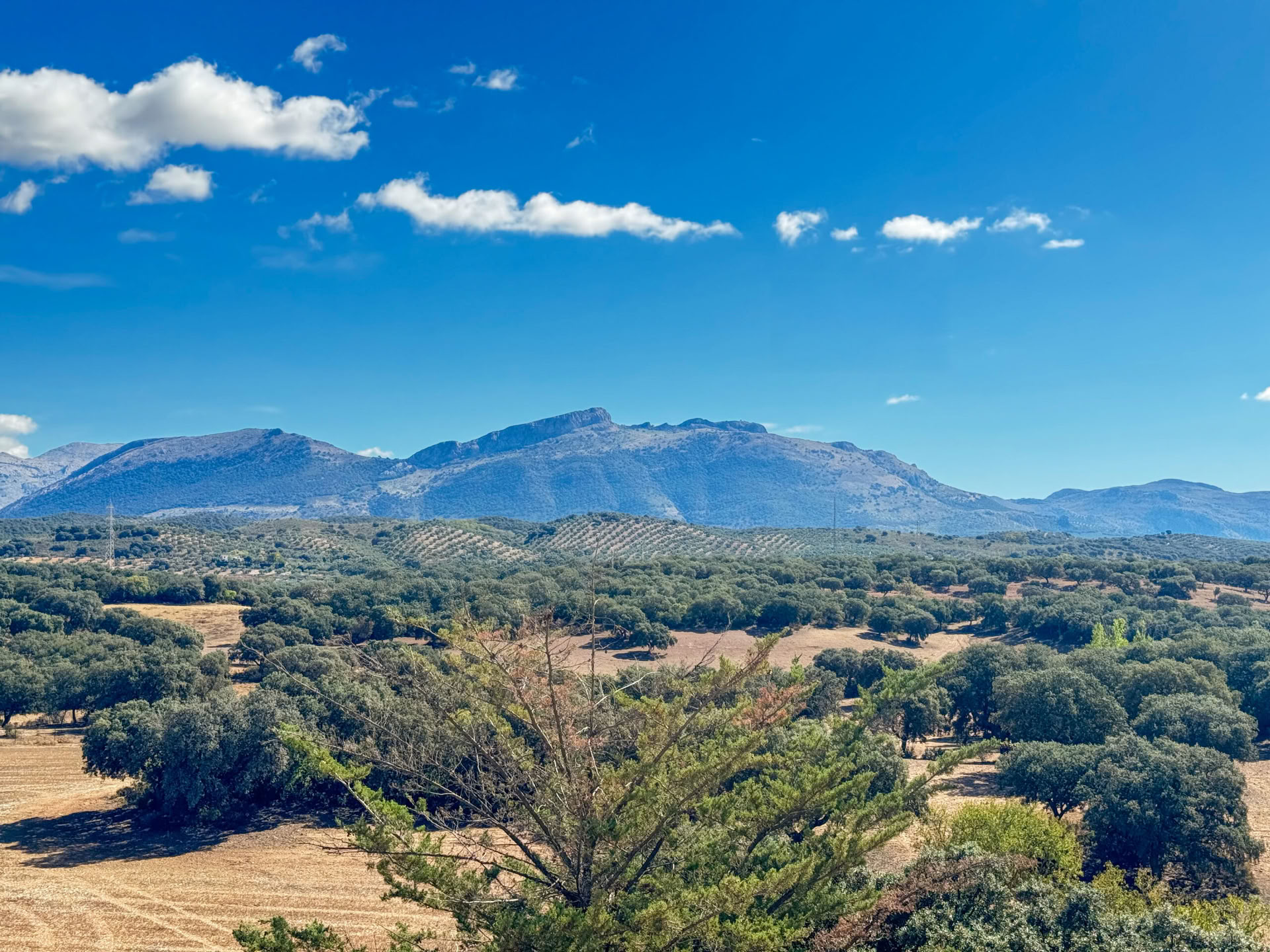 Alquilar Finca La Lola
