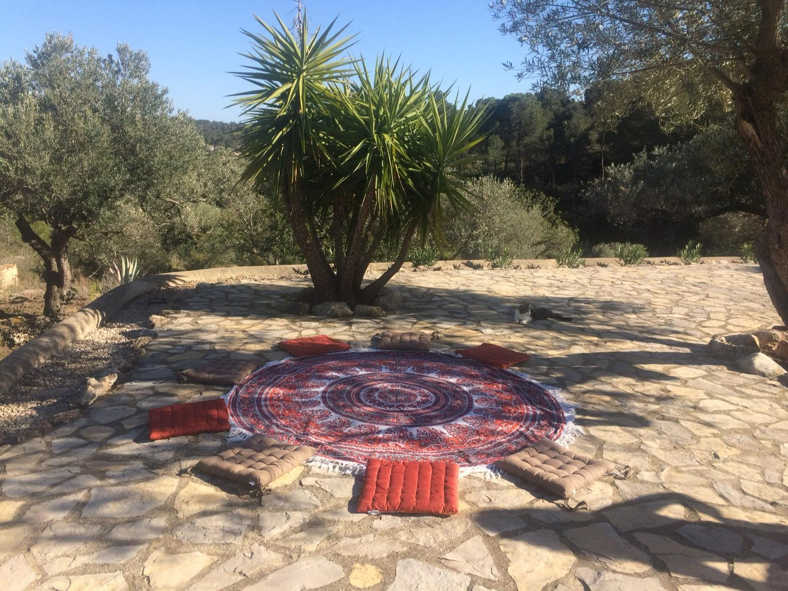 Retiro de yoga y meditación de descanso profundo