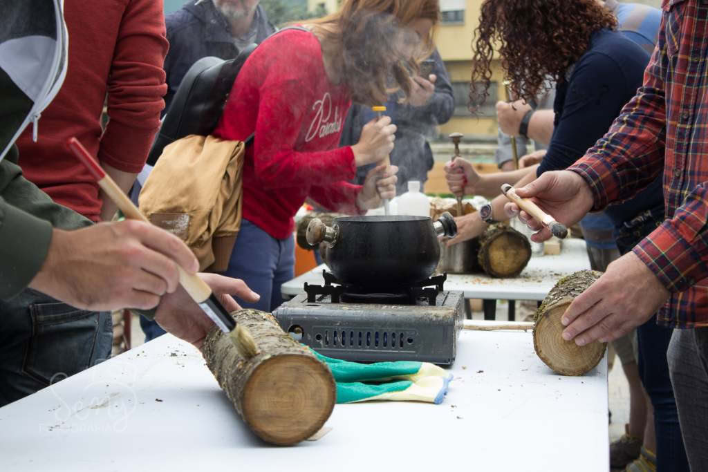 Curso de Cultivo de Shiitake en Navarra