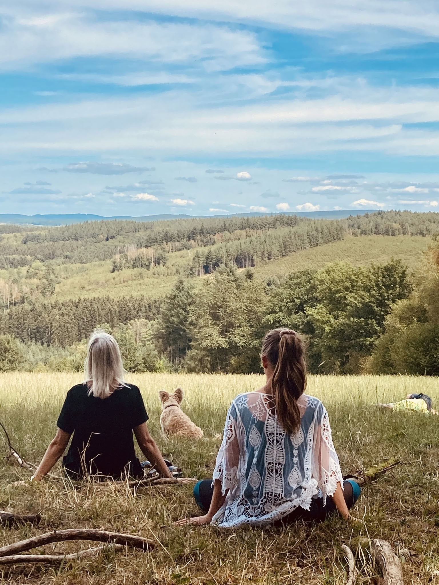 Búsqueda de visión individual en la naturaleza – 24 horas en el bosque – del 11 al 13 de septiembre de 2026