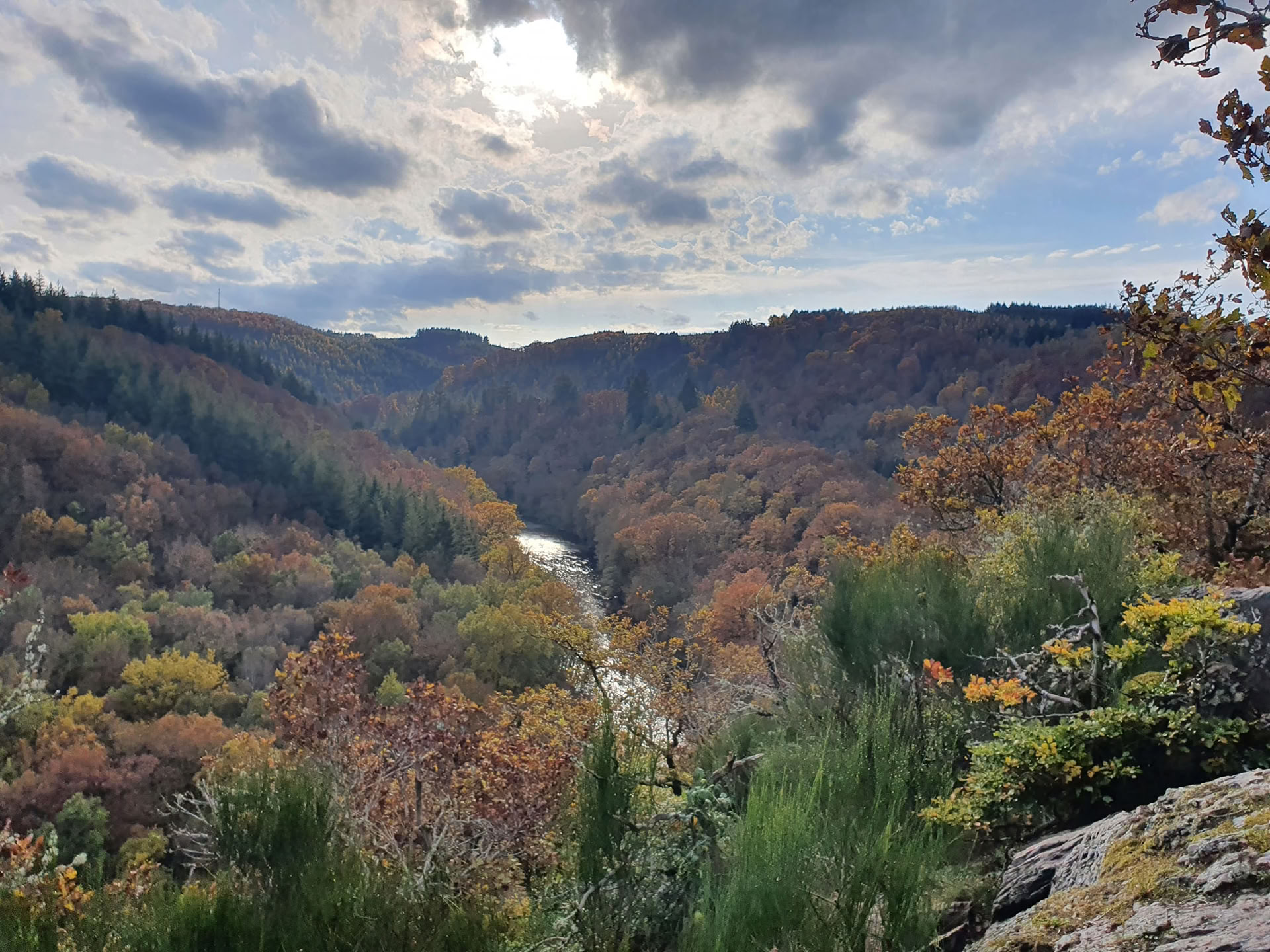 Búsqueda de visión individual en la naturaleza – 24 horas en el bosque – del 11 al 13 de septiembre de 2026
