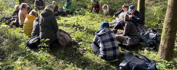 Formación Mirroring para guías de naturaleza y coaches – 22 al 25 de octubre de 2026 – ÚLTIMAS 2 PLAZAS