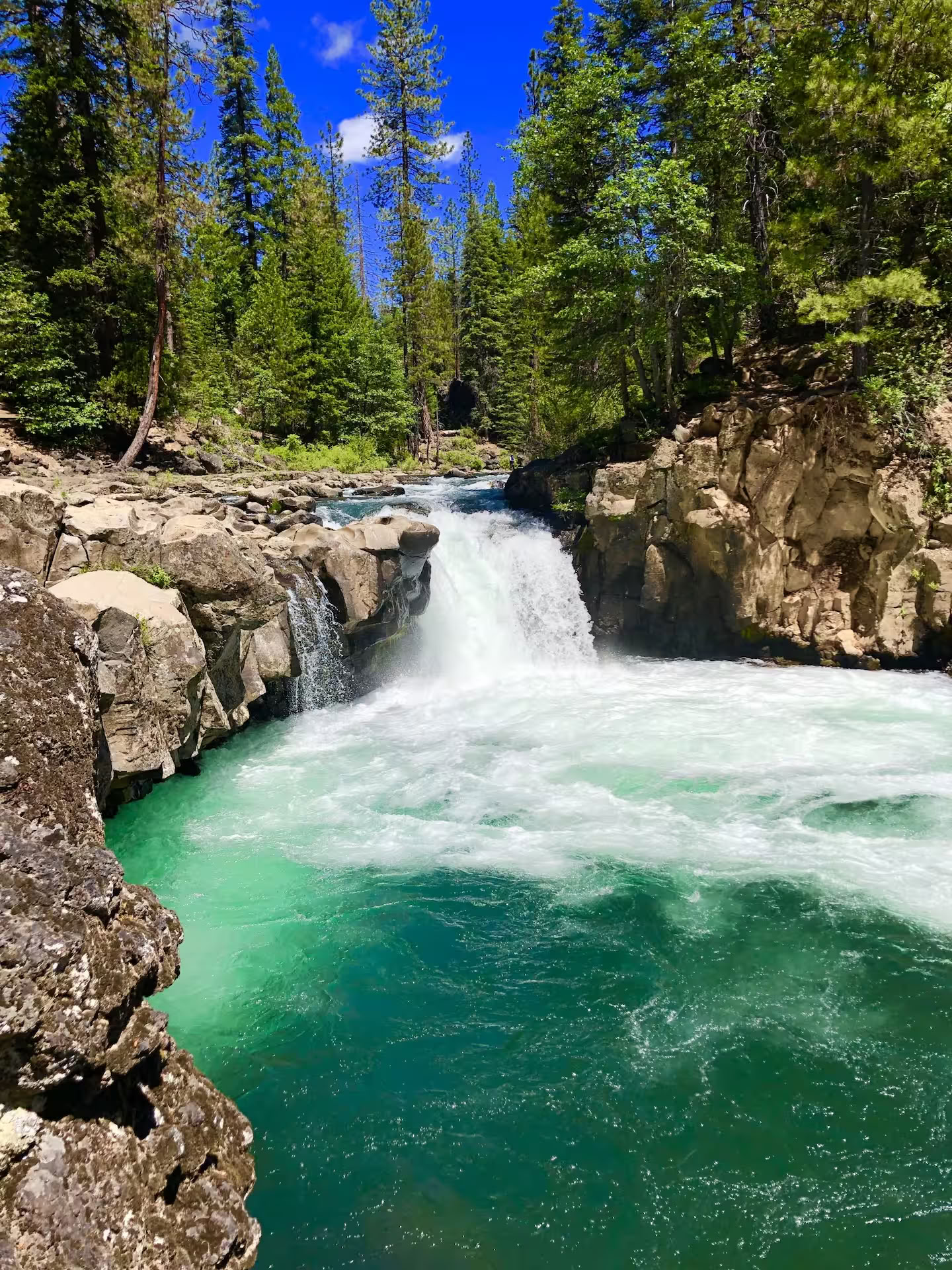Retiro Mount Shasta