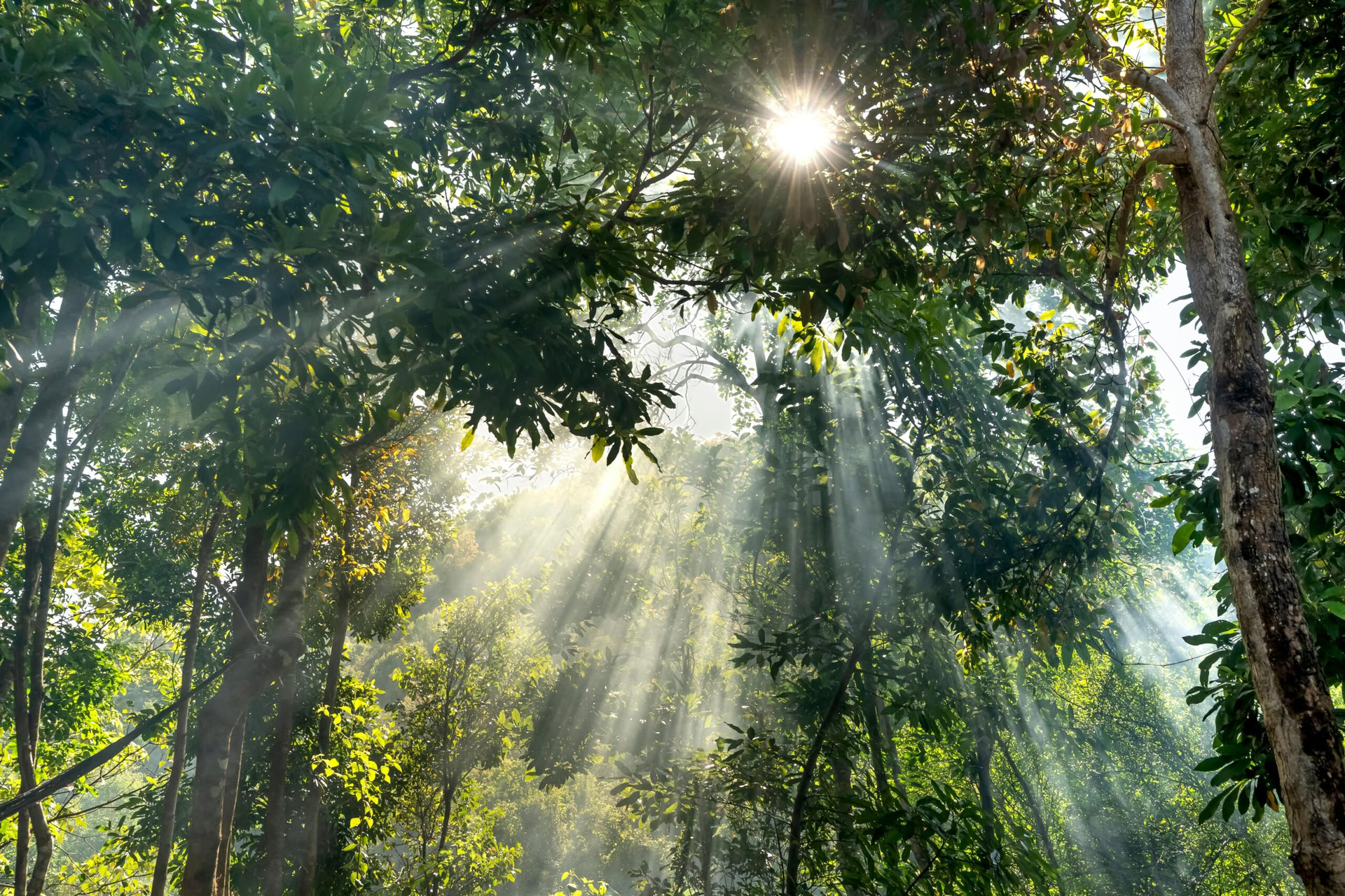 Viaje de mindfulness de 5 días y 4 noches