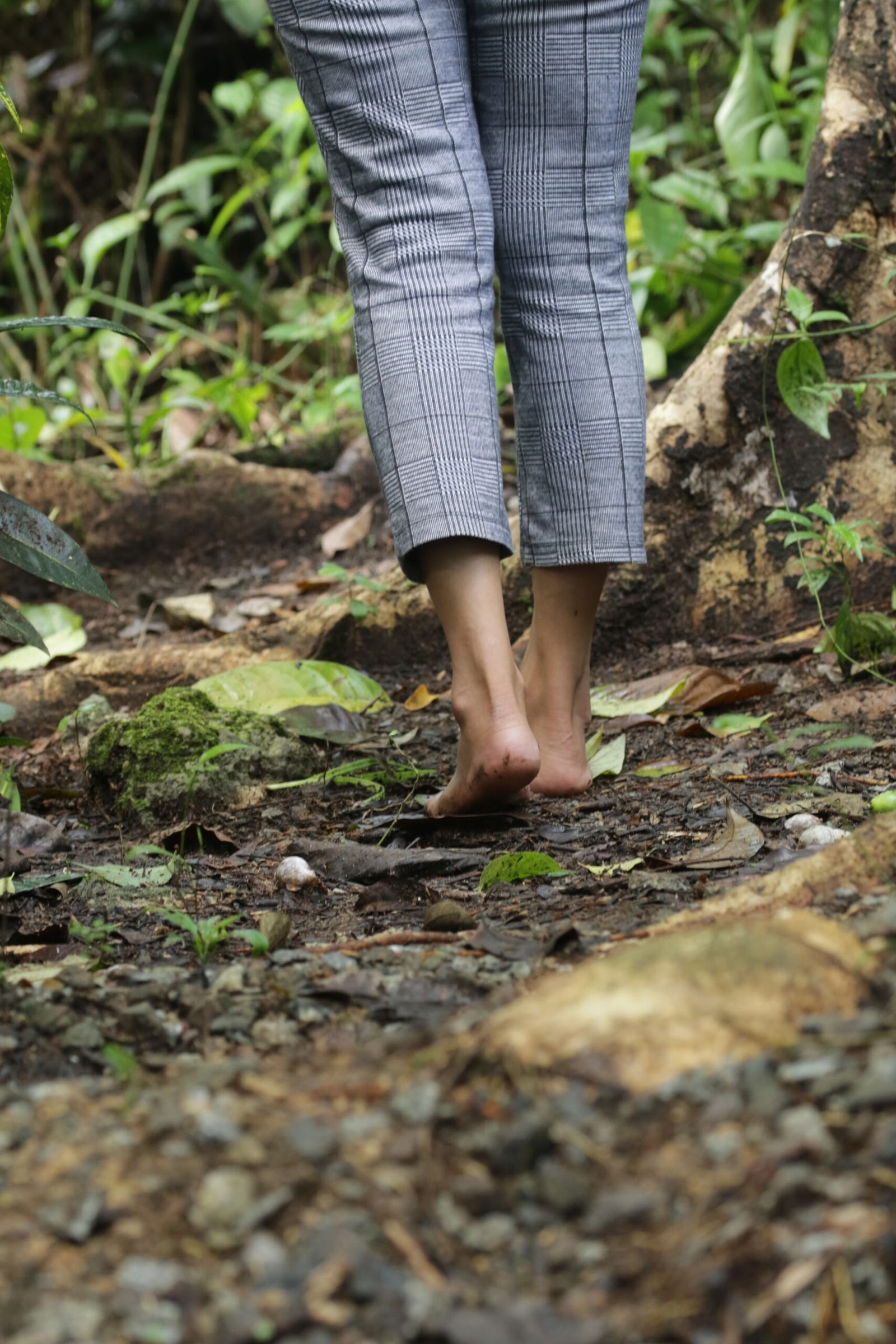 Viaje de mindfulness de 5 días y 4 noches