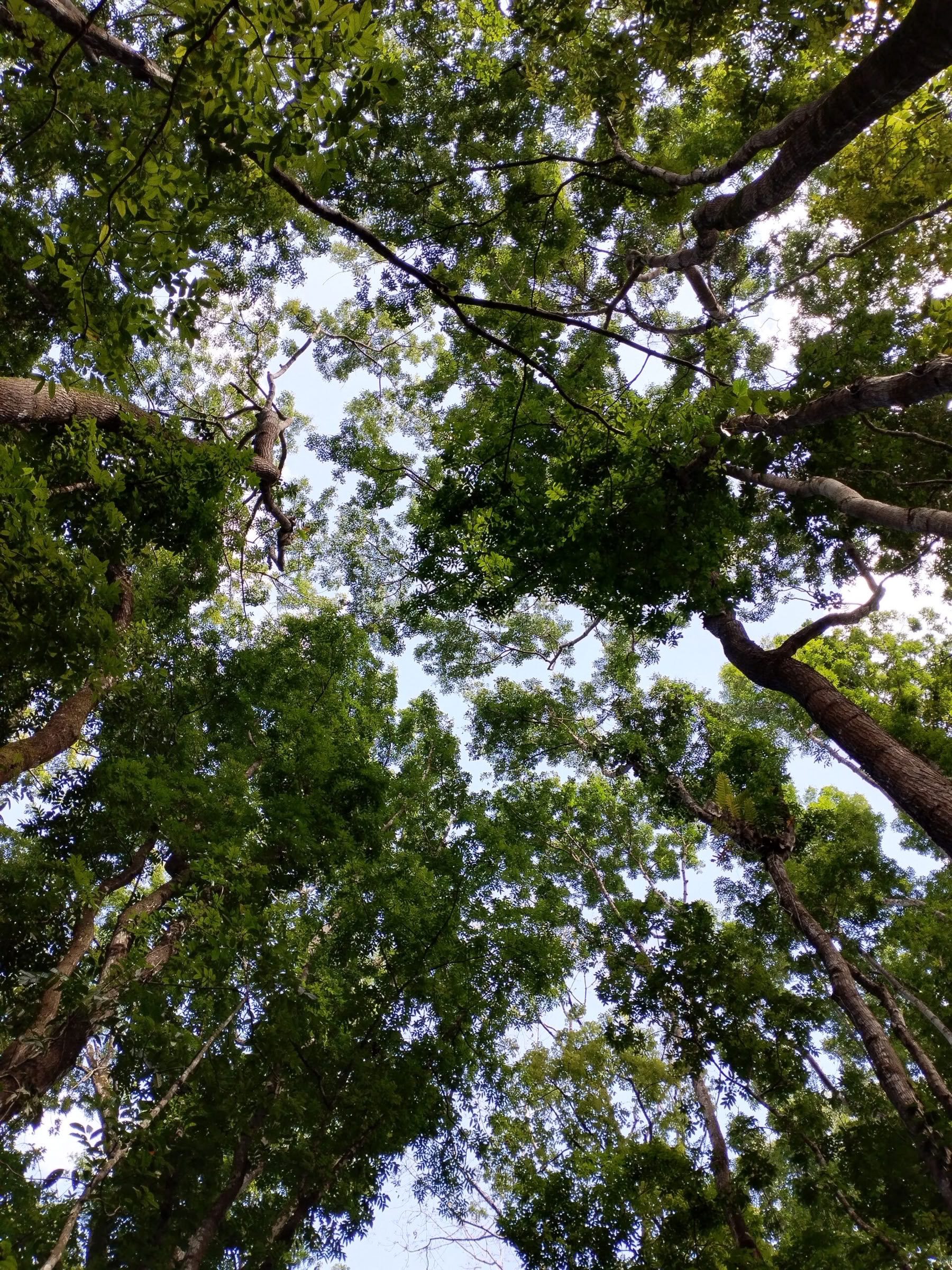 Viaje de mindfulness de 5 días y 4 noches