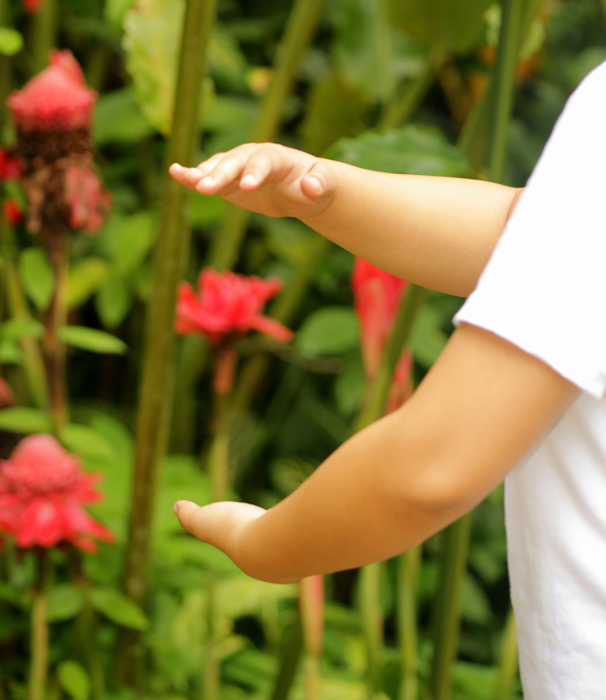 Viaje de mindfulness de 5 días y 4 noches