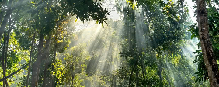Viaje de mindfulness de 5 días y 4 noches