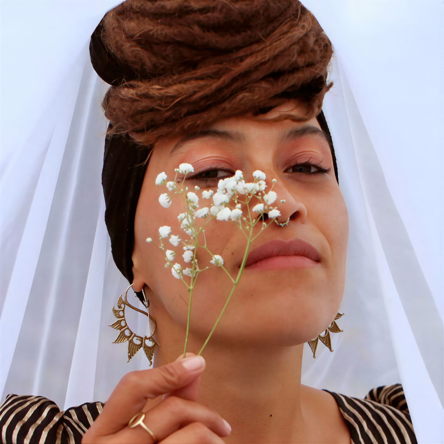 Música de Cultivo de Cobertura