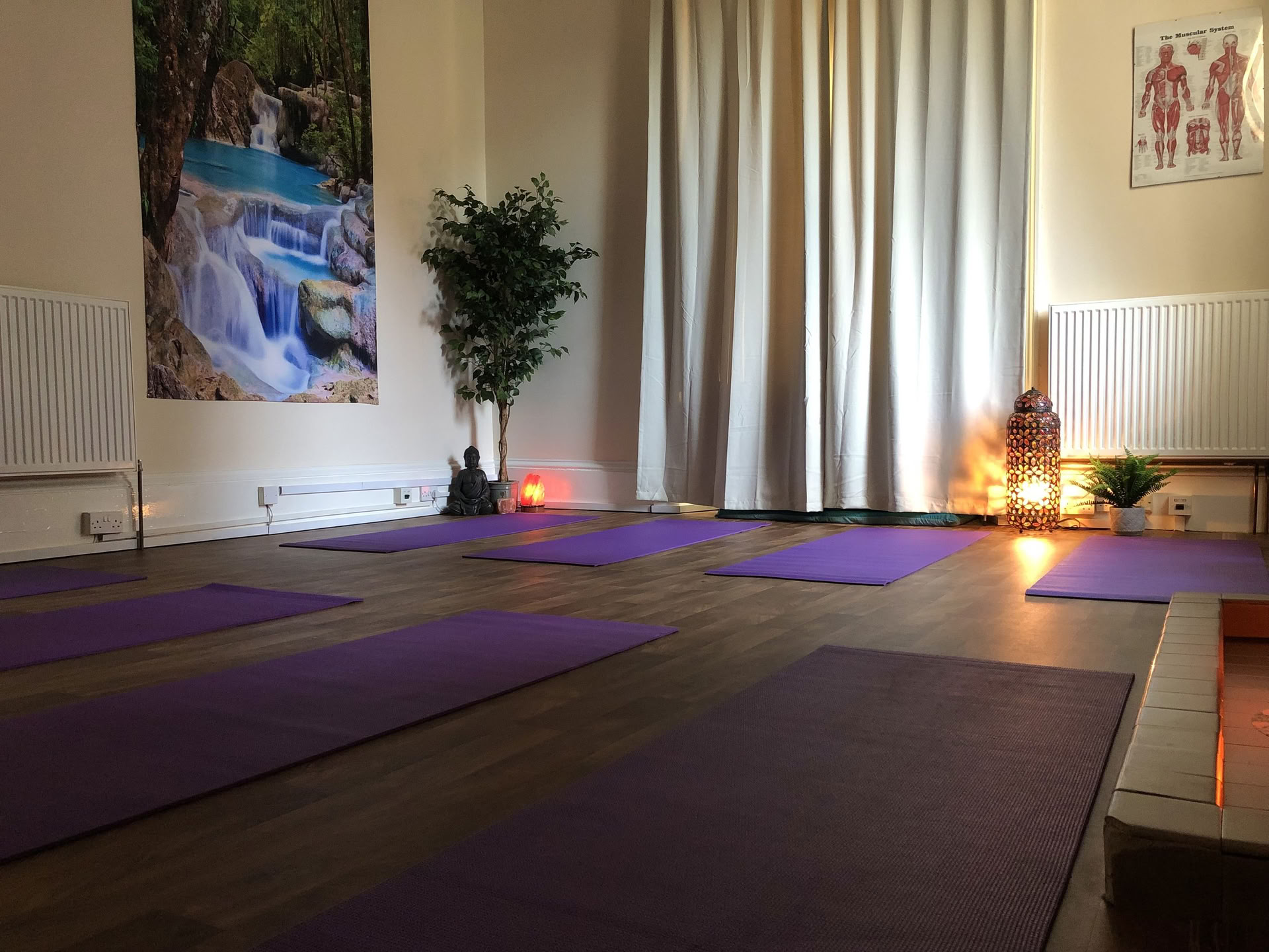 Mini retiro matutino de yoga — Holistic Essences