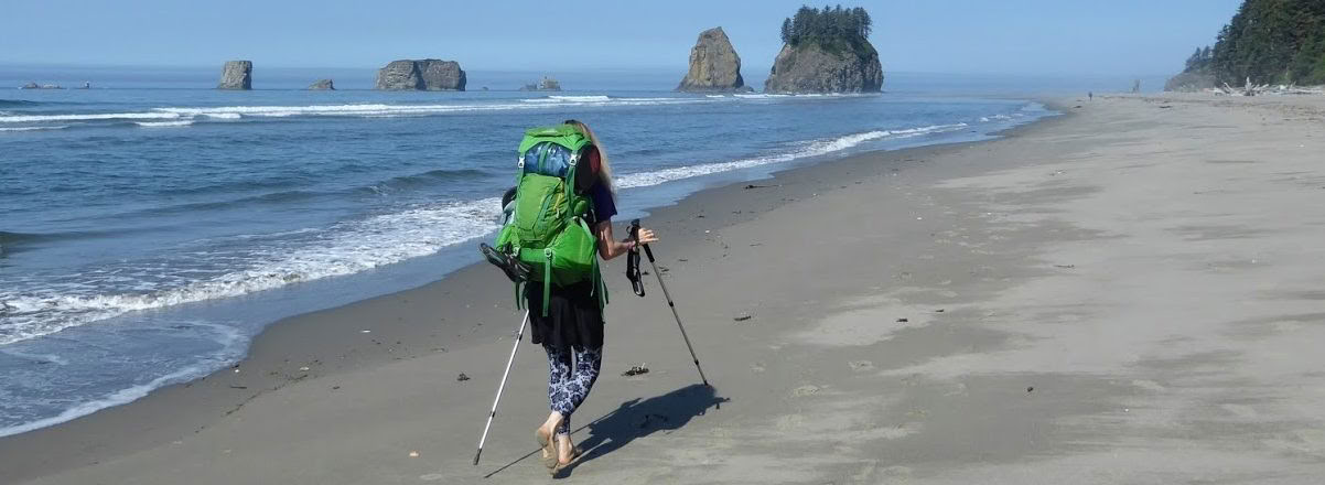 Retiro de baño de bosque y playa en el Parque Nacional Olímpico