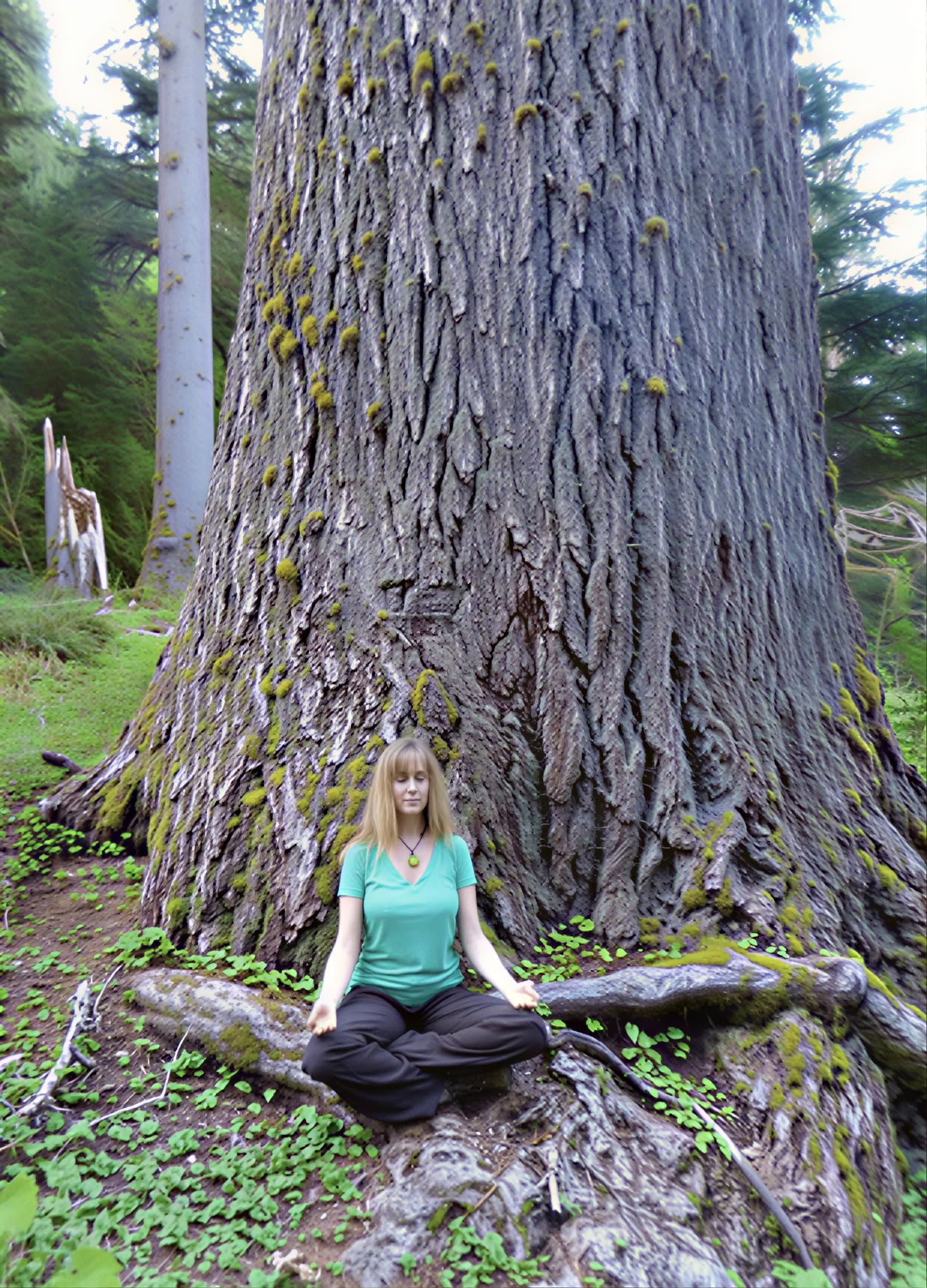 Retiro de senderismo meditativo en cascadas