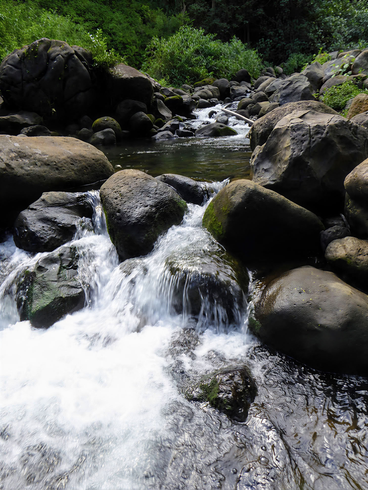Retiro de yoga en Kauai, Hawái
