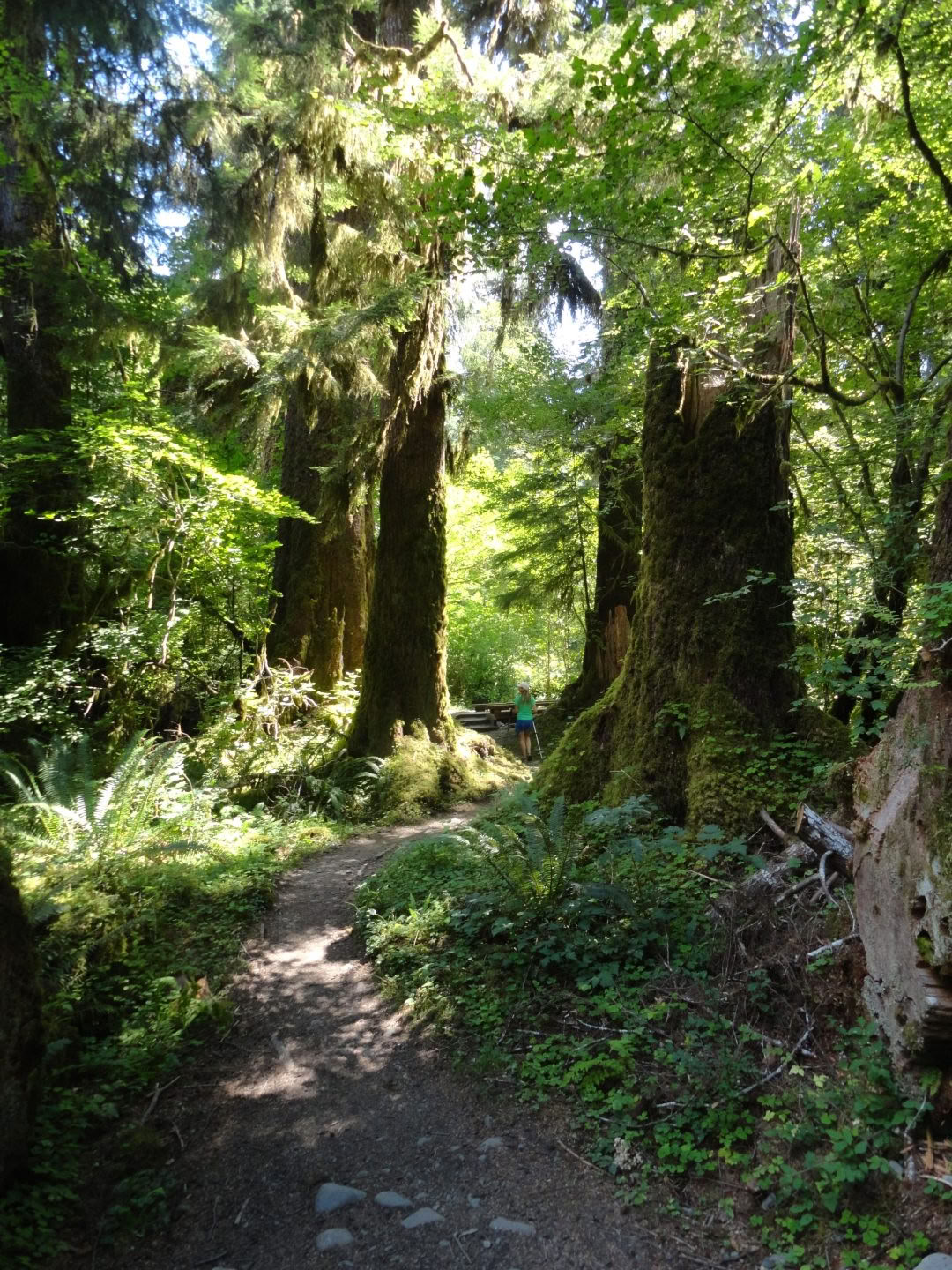 Excursión por el sendero Old Sauk de Cascades