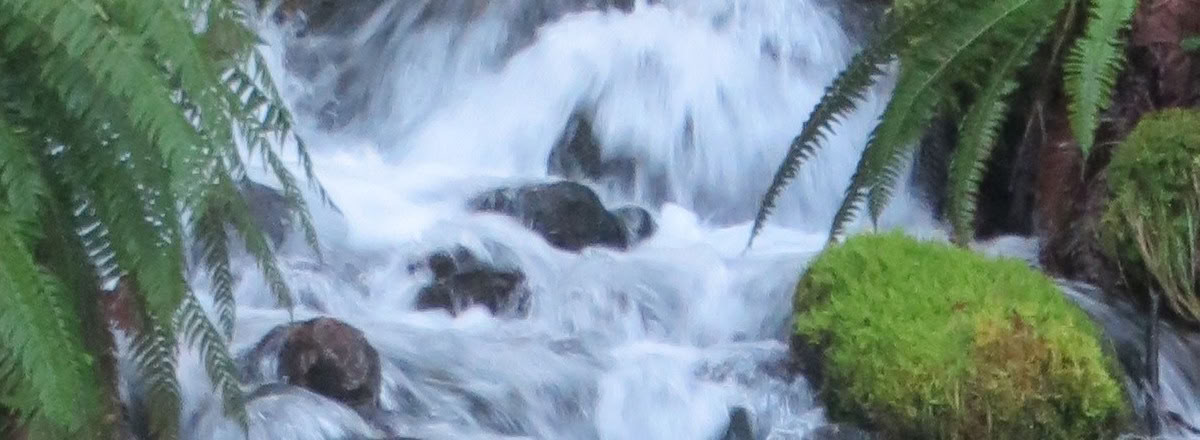 Retiro de sanación en Frog Creek, WA