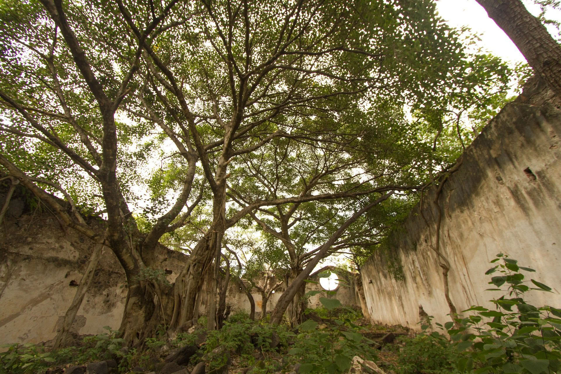 Retiro Yoga Transformador