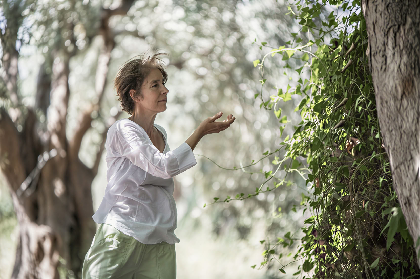 Retiro de Tai Chi y Qigong