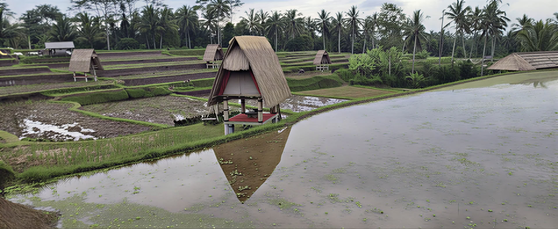 Retiro en Bali