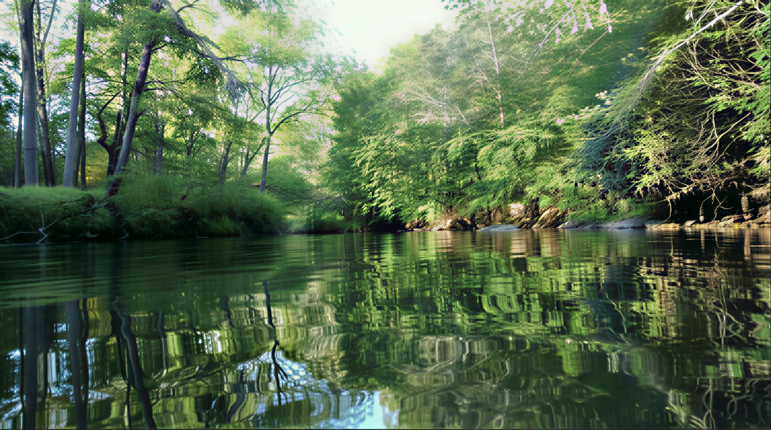 Retiro de la Diosa en Otoño en Anahata
