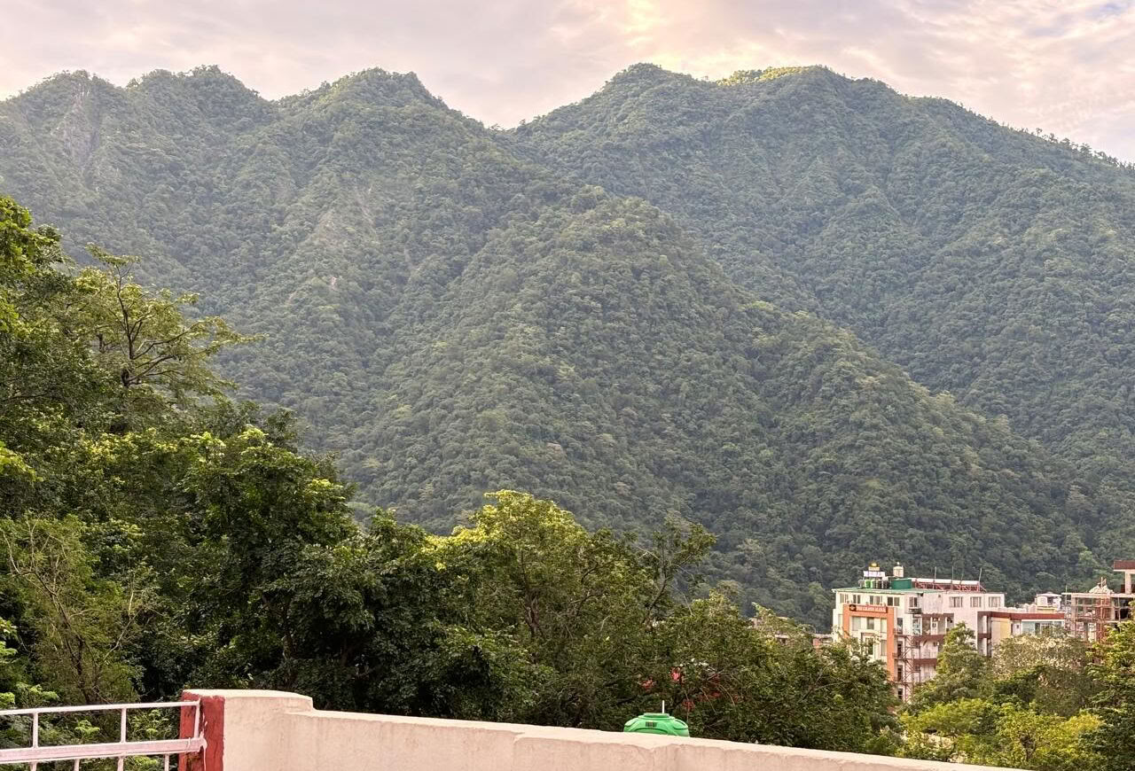Formación de profesores de yoga de 200 horas en India