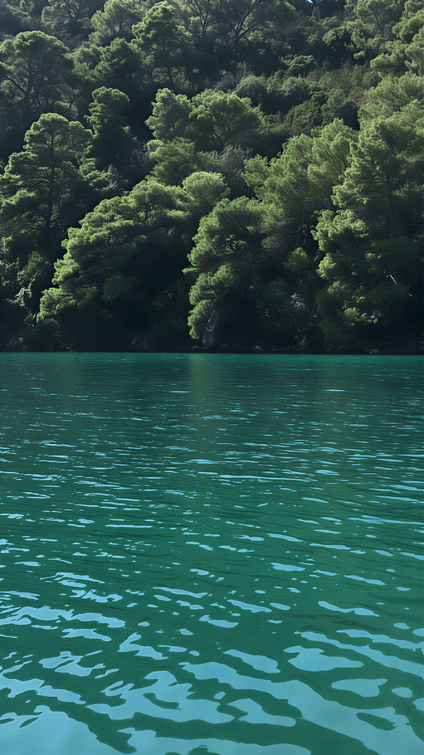 Experiencia de retiro en Mljet