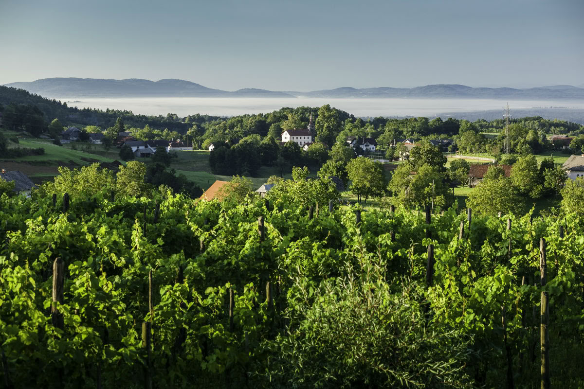 Escapada de bienestar a Eslovenia