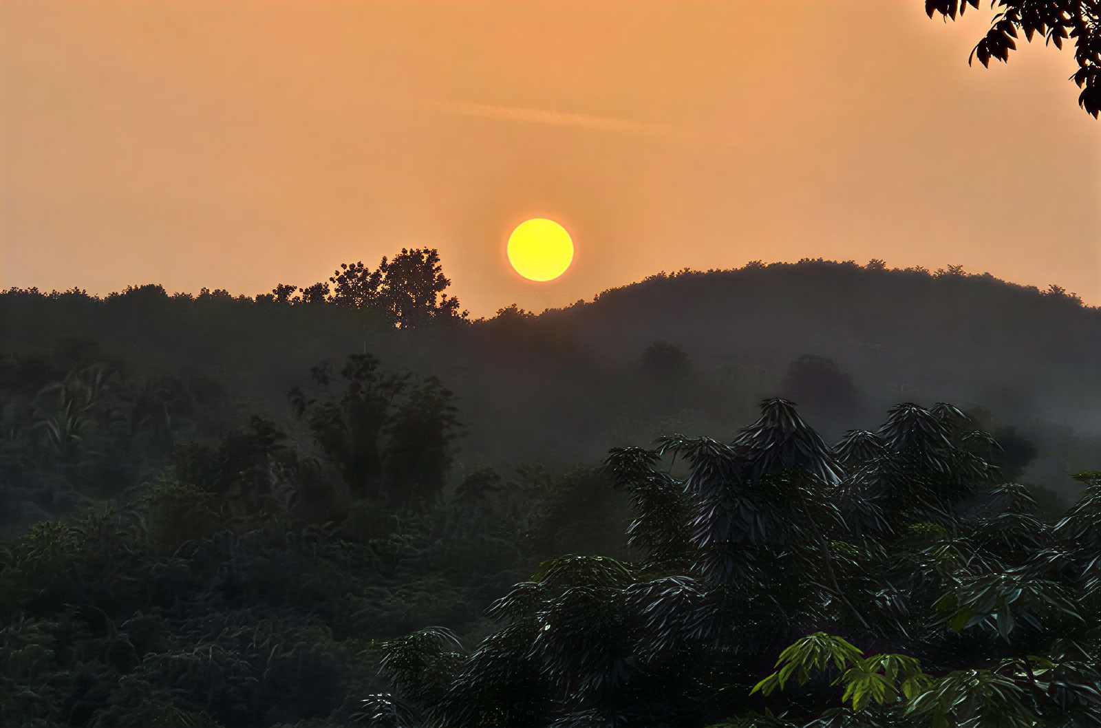 Retiro de bienestar en Kerala