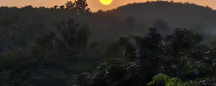 Retiro de bienestar en Kerala