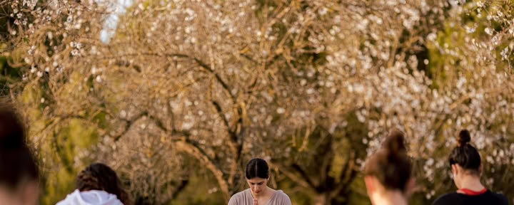 Vinyasa yoga en IBIZALOE (San Antonio)
