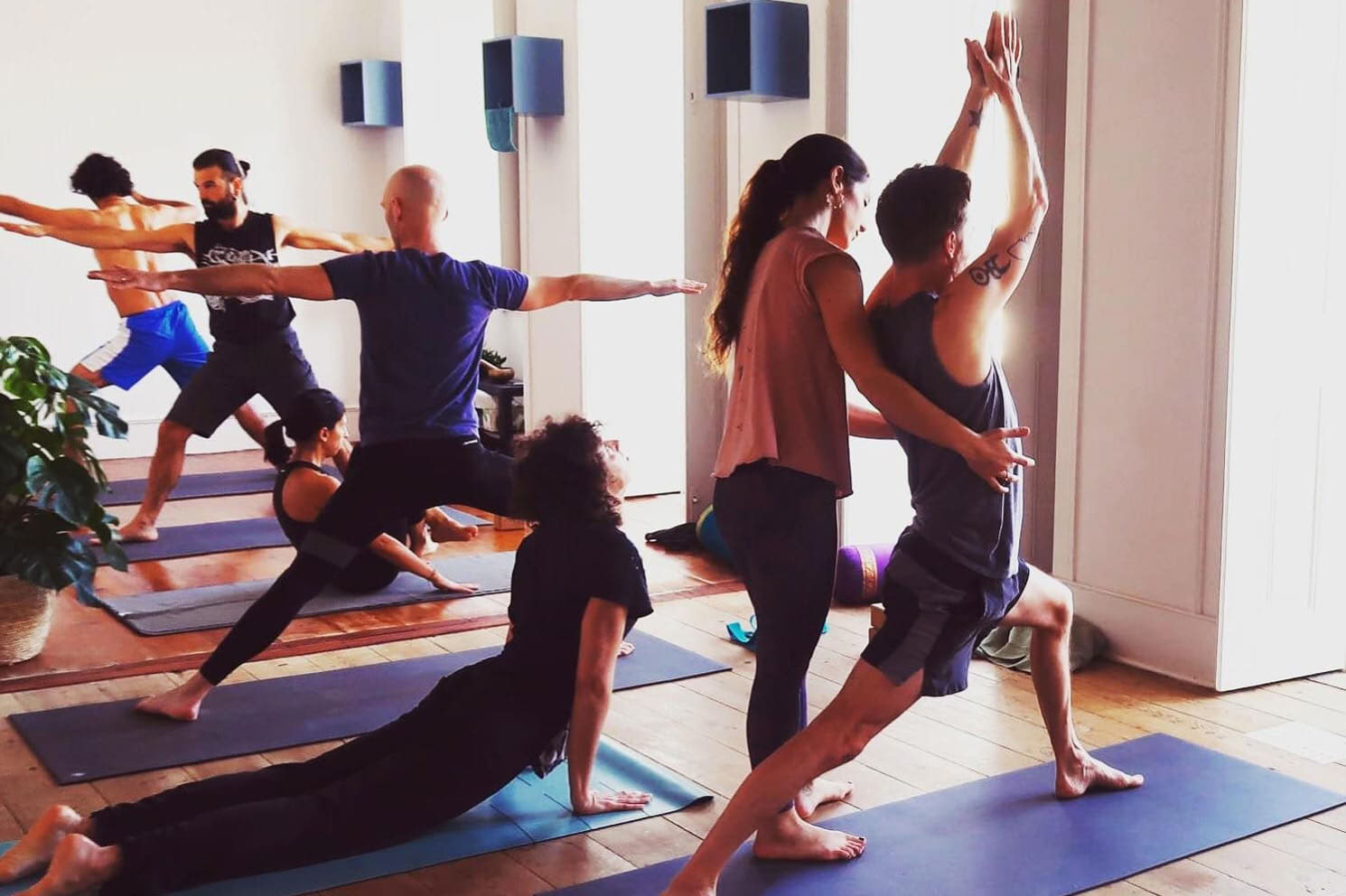 Formación de profesores de yoga Ashtanga Vinyasa 2026