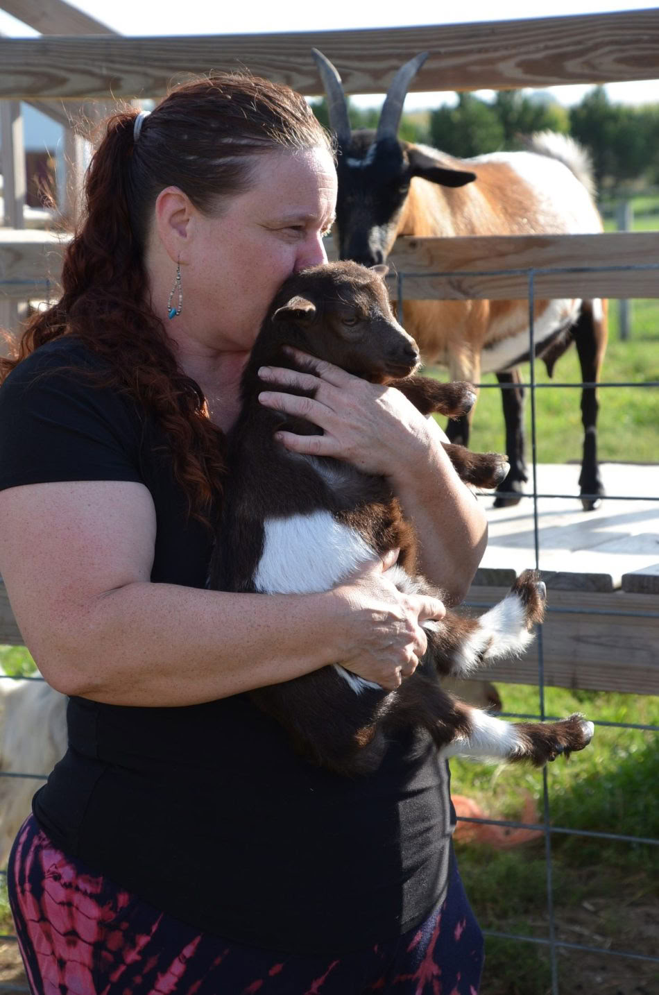 ICRT Reiki Animal I y II