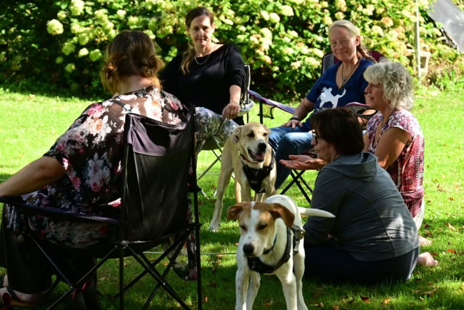ICRT Reiki Animal I y II