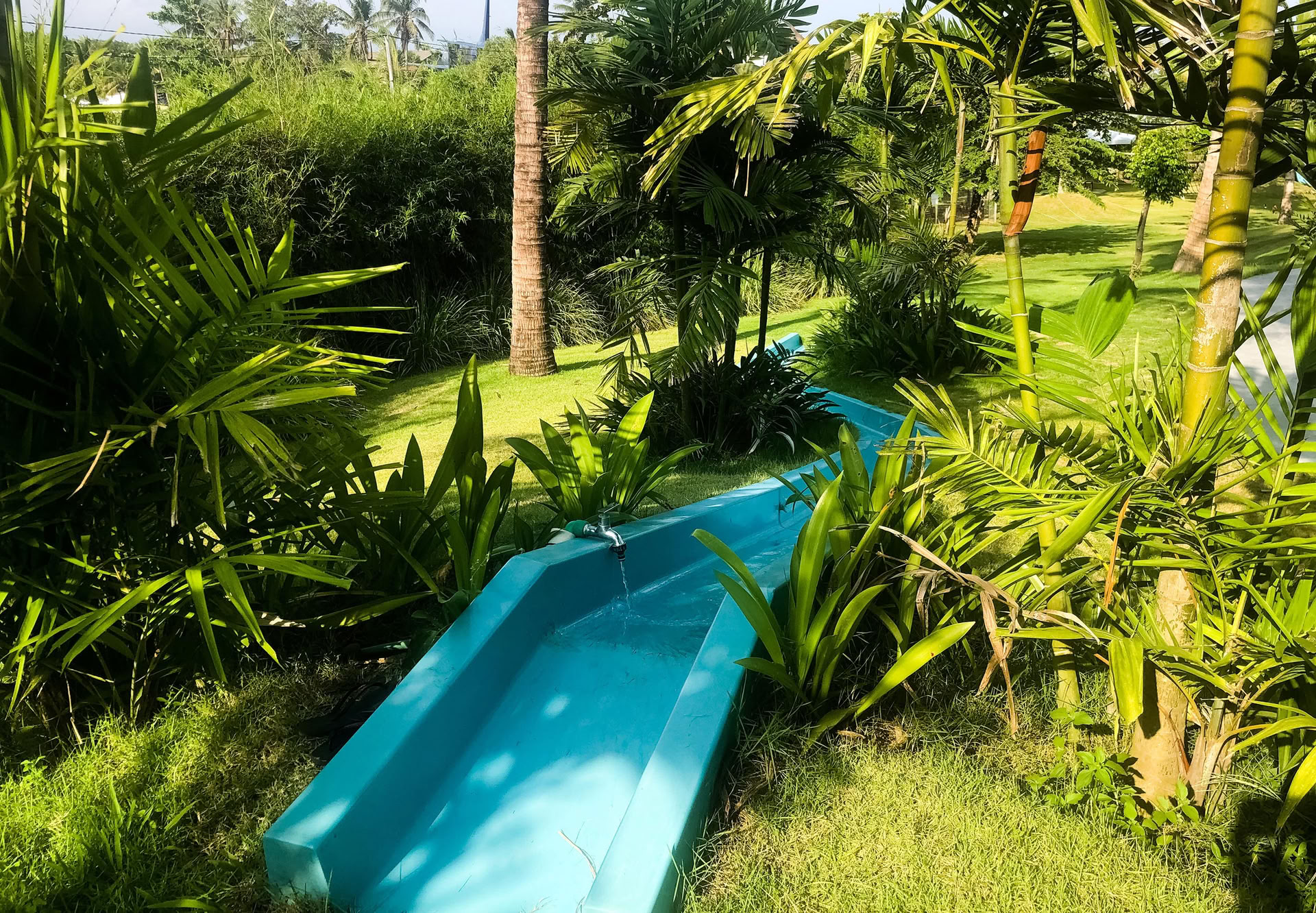 Clases de yoga, fitness y pilates