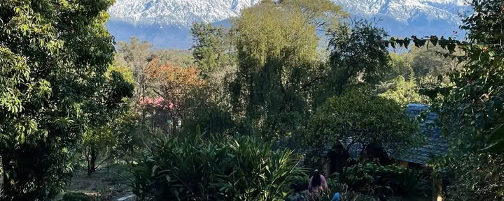El reinicio profundo